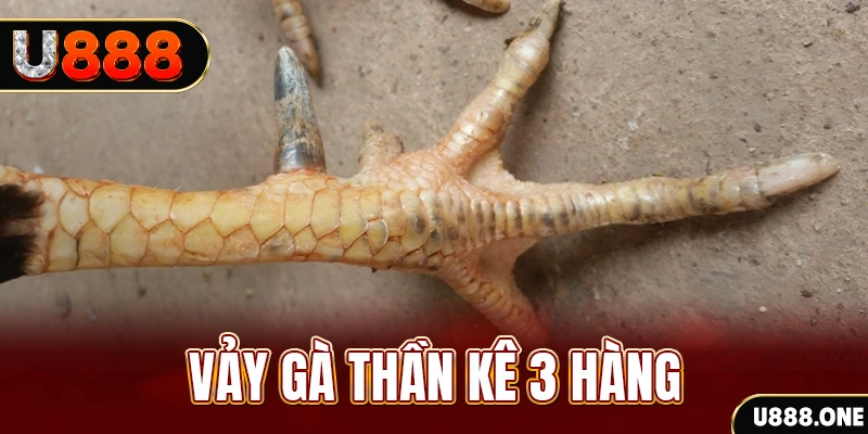 sin 88 nổ hũ đổi thưởng . ai