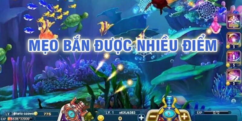 sin 88 đá gà