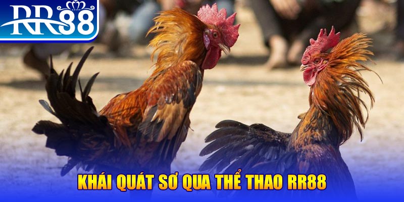 sin 88 nổ hũ là như thế nào