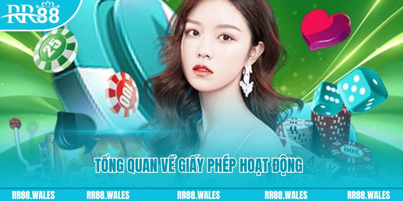 sin 88 kết quả xổ số kiến thiết miền bắc