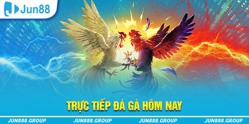 sin 88 68 game bài máy chủ ở đâu