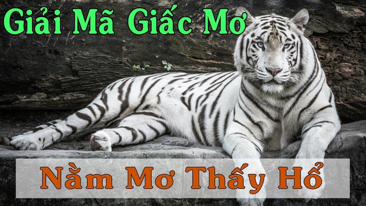 sin 88 xổ số miền trung