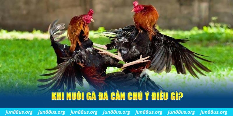 sin 88 ban ca vip online