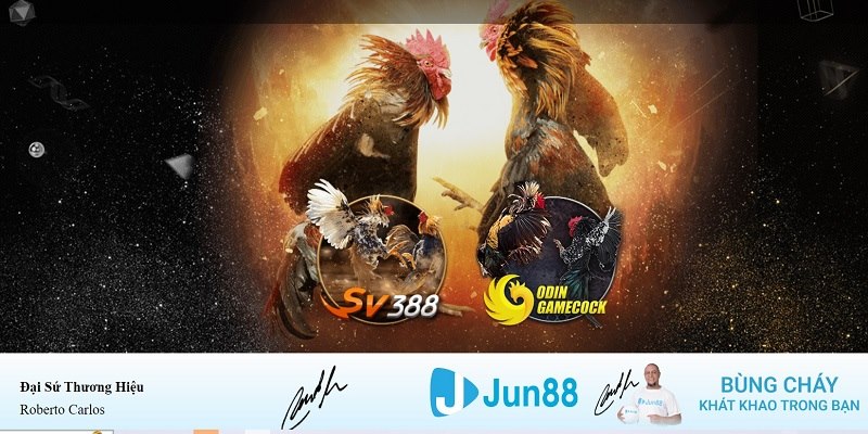 sin 88 xổ số miền nam hàng tuần