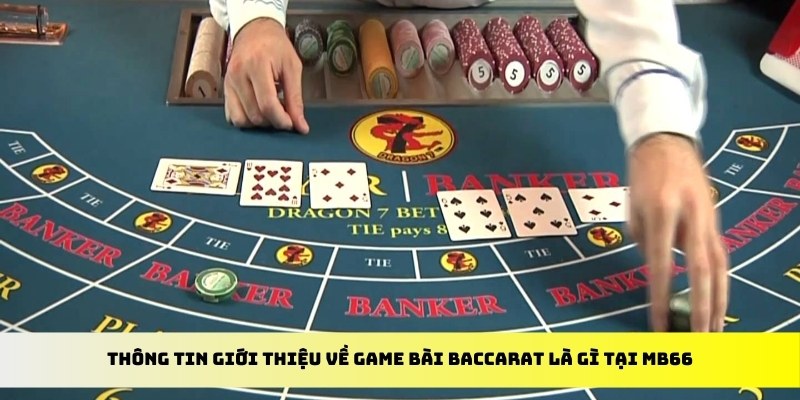 sin 88 xổ số trực tiếp miền bắc