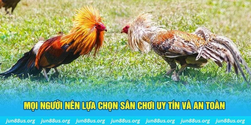 sin 88 hơn cả bạn bè