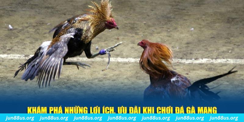 sin 88 Tài Xỉu 2