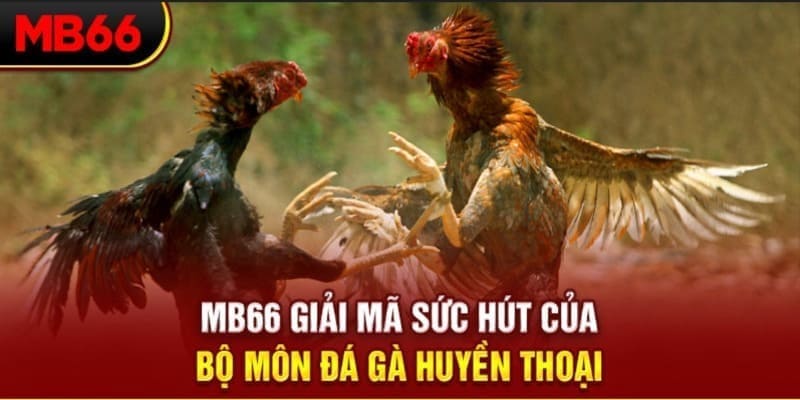sin 88 long bảo trong baccarat là gì