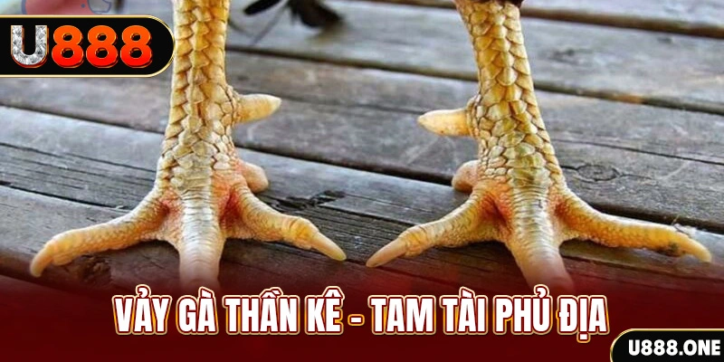 sin 88 xổ số 30 ngày