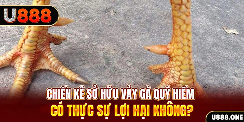 sin 88 game cá cược máy bay