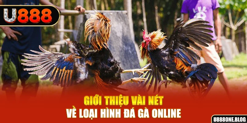 sin 88 xổ số miền nam thứ ba