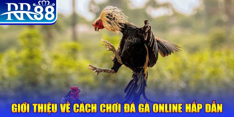 sin 88 nổ hũ 2 mặt là gì