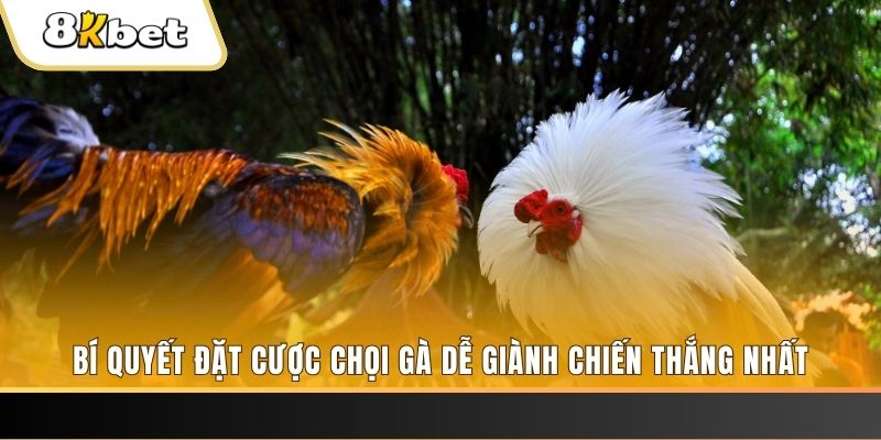 sin 88 may club nổ hũ