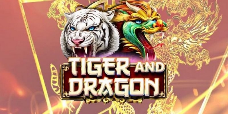 sin 88 cá cược tiếng anh là gì